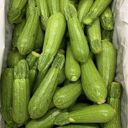 Zucchini