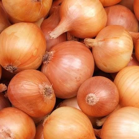 Onion